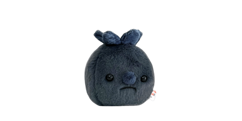 Forgotten Blueberry Merch